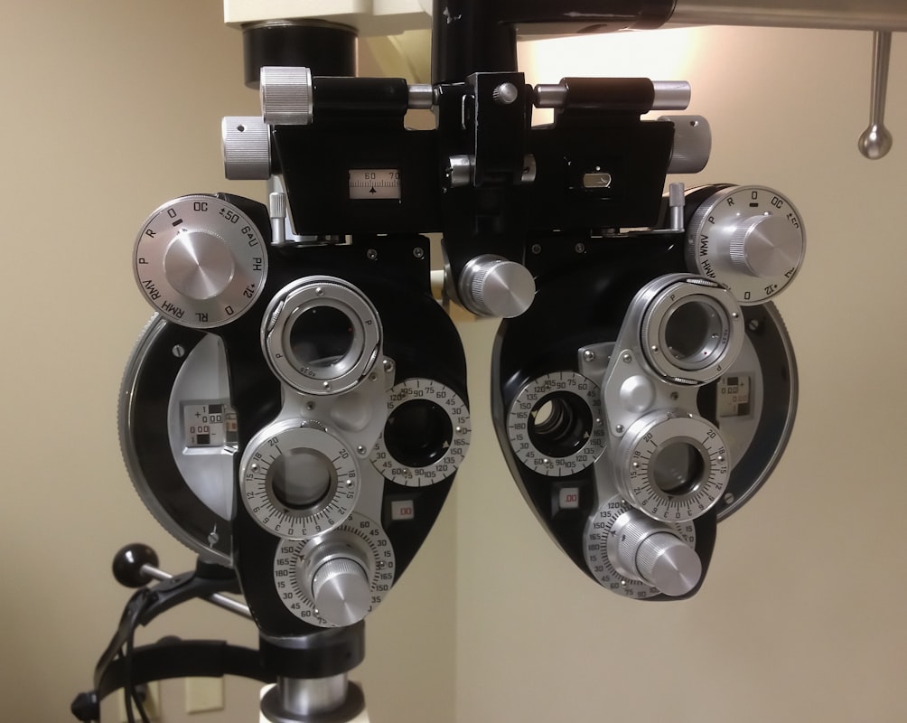 Eye anatomy and vision